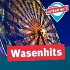 Antenne 1 PLUS / Wasenhits