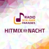 Hitmix der Nacht