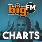 logo bigFM Charts