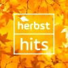 Antenne Bayern Herbst Hits